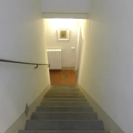Pavone Florence